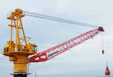 Offshore Pedestal Crane