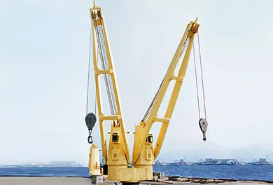 Double Cantilever Marine Crane