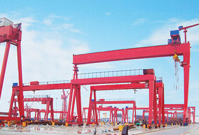 Double Girder Gantry crane