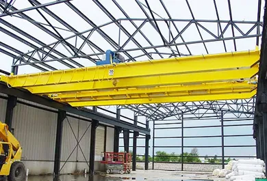 Dust Explosion Proof Crane