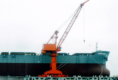 General Application Portal Crane